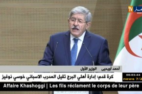 أويحيى: “قرابة 50 إتفاقية مع إيطاليا في كل الميادين”
