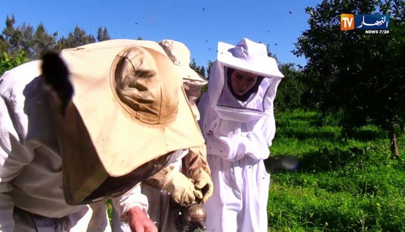 طلة الصباح: تعرف على كيفية فتح خلية نحل وكيف يربى مع عمي محمد