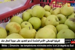 تجارة: بورصة أسعار الخضر والفواكه تنخفض أياما فقط قبل شهر رمضان