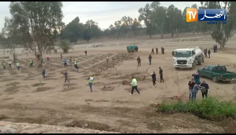 مشاركة 100 عامل في حملة تشجير على المستوى الوطني  ببراقي