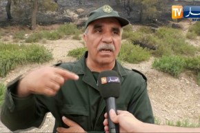 تبسة: إندلاع حـ.ـريق مـ.ـهول في غابات جبل الدكان