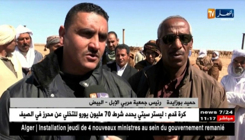 البيض: إنشاء محشر للإبل يثير حفيظة الموالين