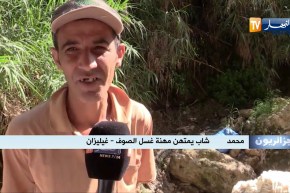 جزائريون: مهنة غسل الصوف.. قبلة شباب منطقة القلعة للهروب من شبح البطالة