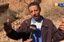 تيارت: البساتين تفقد أشجارها المثمرة بسبب الجفاف وإنعدام المياه بمنطقة تاوغزوت