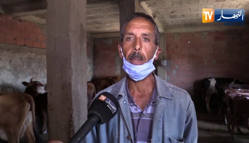 إهتراء المسالك و غلاء الأعلاف مشاكل تواجه مربي الأبقار بمشتة المشارع بسوق الأهراس