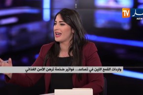 واردات القمح اللين في تصاعد..فواتير ضخمة ترهن الأمن الغذائي