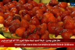 صحة: أمراض تسجل إرتفاع  وسط الجزائريين نظرا لسوء التغذية !