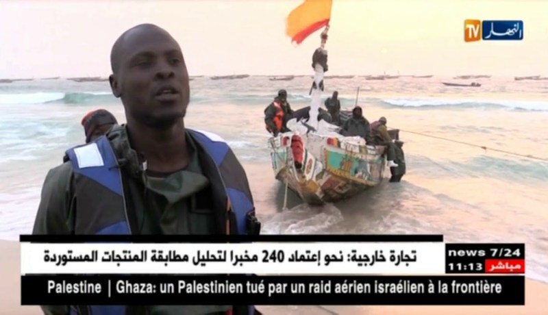 موريتانيا/ الثروة السمكية التي أهملها الجزائريون وغابت عن أنظارهم