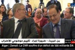 فن : الإعلان عن إنطلاق أول سوق لأبو الفنون بقصر الثقافة