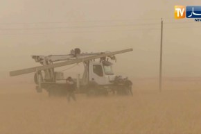 أم البواقي: ريالح قوية تتسبب في إقتلاع 8 أعمدة كهربائية بمشاتي الجازية