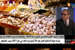 توقيف إستيراد الثوم نهائيا في غضون سنة 2019 …و إمكانية تصديره إنطلاقا من ميلة