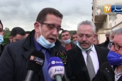 وزير الفلاحة: يستوجب الربط بين المستثمرين للنهوض بالقطاع الفلاحي