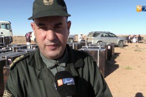 البيض: إطلاق 150 غزال بالمحمية الجزائرية القطرية بمنطقة بريزينة