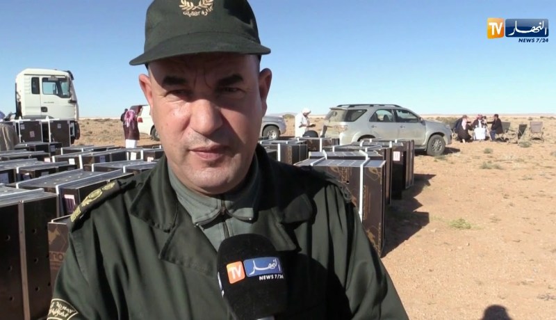 البيض: إطلاق 150 غزال بالمحمية الجزائرية القطرية بمنطقة بريزينة