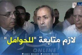 حسبلاوي: يجب متابعة النساء الحوامل منذ إدراكهن الحمل