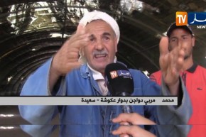 سعيدة/ خسائر تفتك بمربي الدواجن في دوار عكوشة