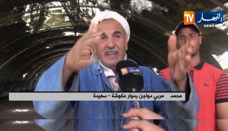 سعيدة/ خسائر تفتك بمربي الدواجن في دوار عكوشة