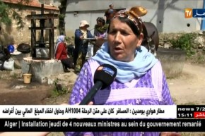 تيزي وزو: معاصر الزيتون التقليدية..تراث وجودة في المنتوج