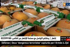 بسكرة: تصدير 23 طن من البطيخ نحو أوروبا أسبوعيا من المزرعة النموذجية بمزيرعة