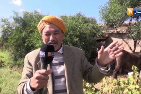 معسكر/ “الزراعة الجبلية”…مكسب هام يتمسك به فلاحو دائرة عين فارس