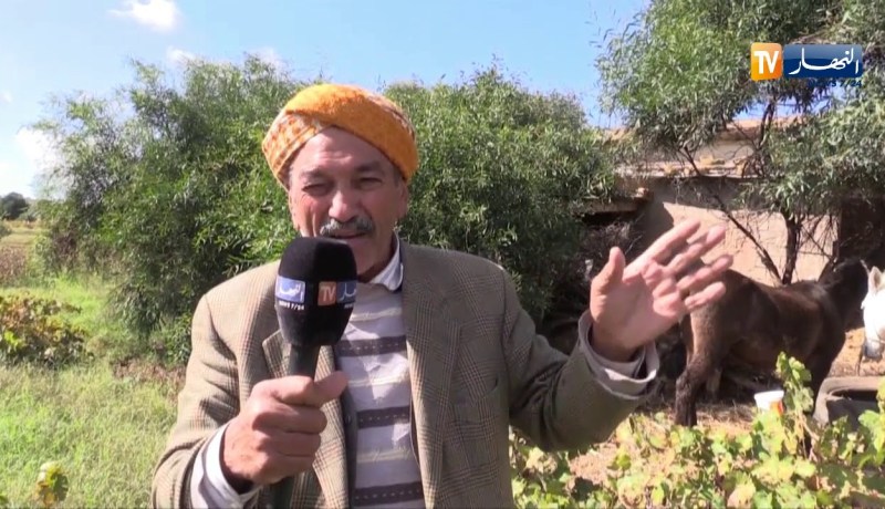 معسكر/ “الزراعة الجبلية”…مكسب هام يتمسك به فلاحو دائرة عين فارس