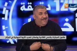 طاعون المجترات والحمى القلاعية يواصلان تهديد الثروة الحيوانية في الجزائر