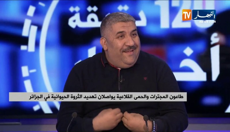 طاعون المجترات والحمى القلاعية يواصلان تهديد الثروة الحيوانية في الجزائر