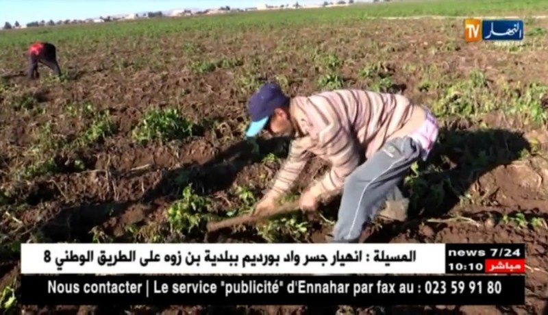 تنصيب فوج عمل لتشجيع الشباب بإنشاء مؤسسات صغيرة في المجال الفلاحي