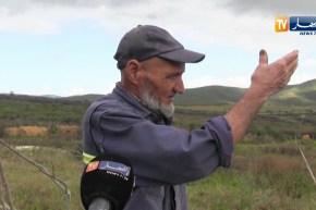 سكيكدة: مجهولون يقطعون أكثر من 500 شجرة مثمرة بـ “عرب سكيكدة”