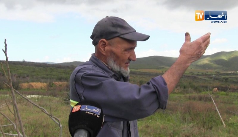 سكيكدة: مجهولون يقطعون أكثر من 500 شجرة مثمرة بـ “عرب سكيكدة”