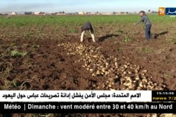 فلاحة: الفلاحون يؤيدون فكرة الشراكة مع الأجانب في القطاع لكن بشروط