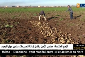 فلاحة: الفلاحون يؤيدون فكرة الشراكة مع الأجانب في القطاع لكن بشروط