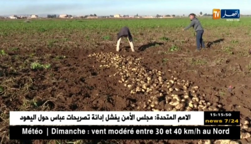 فلاحة: الفلاحون يؤيدون فكرة الشراكة مع الأجانب في القطاع لكن بشروط