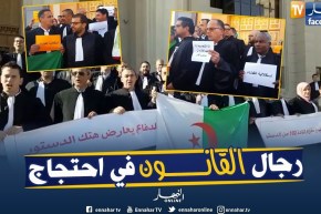 المحامون في مسيرة سلمية بكل من غليزان والبويرة،النعامة،بشار