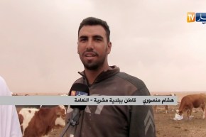 النعامة/ عمي بلقاسم..موال منذ 35 سنة يصطدم بقلة الإمكانيات