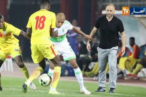 بلماضي يؤكد بأن لقاء غامبيا سيكون فرصة للاعبين الذين لا يشاركون كثيرا