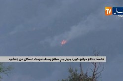 قالمة/ إندلاع حرائق كبيرة بجبل بني صالح وسط تخوفات السكان من إنتشاره
