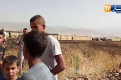 باتنة: حريق يٱتي على عشرات الهكتارات من القمح والشعير بقرية الحاسي