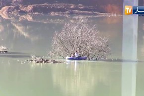 جيجل: عملية تضامنية إنسانية لإنقاذ قطتين عالقتين داخل سد تبلوط