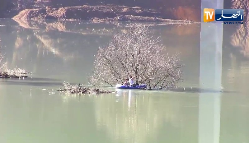 جيجل: عملية تضامنية إنسانية لإنقاذ قطتين عالقتين داخل سد تبلوط