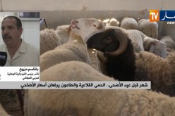 شهر قبل عيد الأضحى..الحمى القلاعية والطاعون يرفعان أسعار الأضاحي