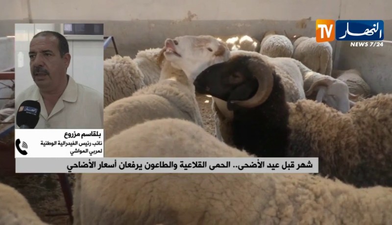 شهر قبل عيد الأضحى..الحمى القلاعية والطاعون يرفعان أسعار الأضاحي
