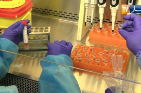 معهد باستور: إكتشاف 225 حالة إصابـ.ـة بالسلالات المتحورة لفيـ.ـروس SARS-COV-2