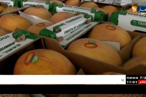 بسكرة: تصدير 23 طن من البطيخ نحو أوروبا أسبوعيا من المزرعة النموذجية بمزريعة