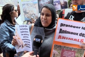 مجتمع: وقفة احتجاجية لأطباء بياطرة وجمعية حماية الحيوان ضد القالوفة