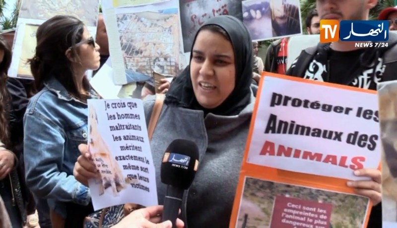 مجتمع: وقفة احتجاجية لأطباء بياطرة وجمعية حماية الحيوان ضد القالوفة