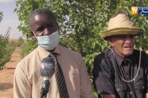 النعامة: المصالح الفلاحية تتحرك بعد بث تقرير عن مستثمرة يطالب صاحبها الكهرباء