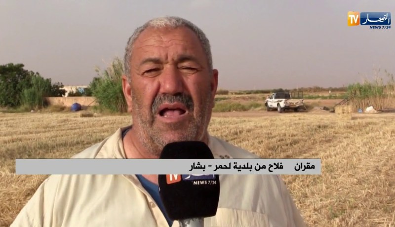 بشار: عمي مقران يمارس نشاطه الفلاحي تحت شمس حارقة فو شهر رمضان