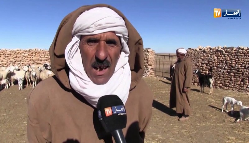 تيارت: مربوا الماشية يتصدون للوباء بإمكانياتهم الخاصة