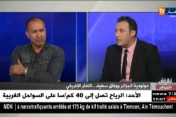 فريد بلملاط: الضغوطات بعد الخسارة أمام الكناري هي سبب تعثر مولودية الجزائر